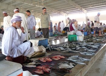 عُمان تصدر أذون خزانة بقيمة 33.05 مليون ريال وسط مخاوف من تزايد العجز المالي 2025