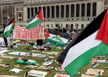 بالأرقام.. الجامعات الأمريكية تصدر سندات بقيمة 2.3 مليار دولار لمواجهة أزمة التمويل بعد احتجاجات غزة 2025