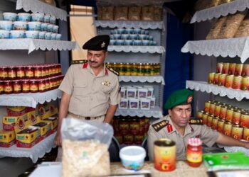 خصخصة متسارعة: مصر تطرح شركات جديدة في 2026 وتستكمل خطة الـ60 شركة 2025