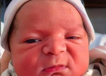 نصف مليار دولار لمصنع ألبان أطفال في مصر: تقليل الواردات أم بوابة جديدة لاحتكار الأغذية؟ 2025