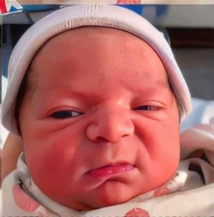 نصف مليار دولار لمصنع ألبان أطفال في مصر: تقليل الواردات أم بوابة جديدة لاحتكار الأغذية؟ 1 نصف مليار دولار لمصنع ألبان أطفال في مصر: تقليل الواردات أم بوابة جديدة لاحتكار الأغذية؟ 2025