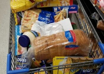 "Carry On".. أول سلسلة تجارية حكومية تضم 40 ألف منفذ تمويني في مصر 2025