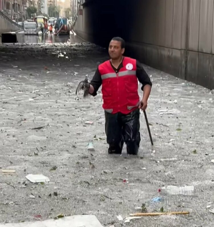 انتصار السيسي تكرم بطولات الهلال الأحمر في مواجهة كارثة عاصفة الإسكندرية 1 انتصار السيسي تكرم بطولات الهلال الأحمر في مواجهة كارثة عاصفة الإسكندرية 2025