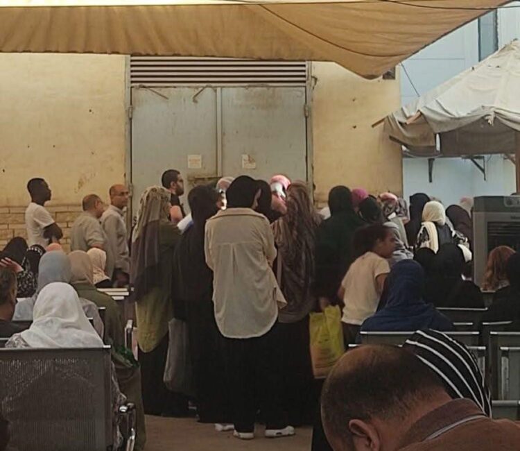 أول ضحايا "تأجير المستشفيات": خصخصة هرمل تعرقل علاج آلاف مرضى الأورام 2025