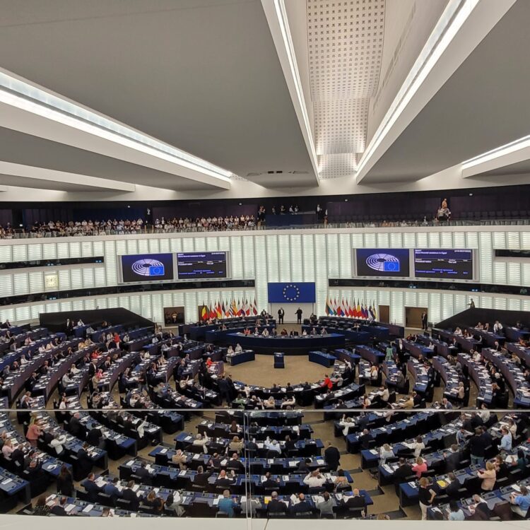 البرلمان الأوربي تمنح مصر شريحة دعم ثانية بقيمة 4 مليارات يورو 1 البرلمان الأوربي تمنح مصر شريحة دعم ثانية بقيمة 4 مليارات يورو 2025