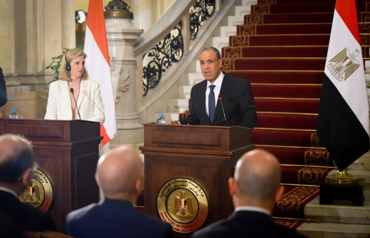 عبدالعاطي: مصر تضغط لوقف إطلاق النار في غزة وضمان دخول المساعدات 2025