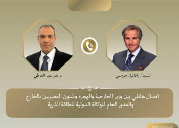 وزير الخارجية المصري يبحث مع مدير "الطاقة الذرية" تطورات الملف النووي الإيراني 2025