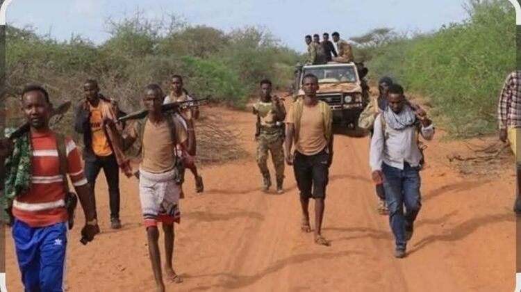 فضيحة في الصومال: الحكومة تُنسب مقتل قائد في "الشباب" لنفسها وتتجاهل دور الميليشيات المحلية 1 فضيحة في الصومال: الحكومة تُنسب مقتل قائد في "الشباب" لنفسها وتتجاهل دور الميليشيات المحلية 2025