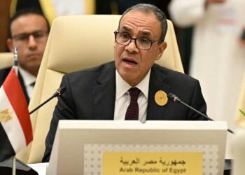 المنشر تنفرد بنشر نص المحادثة بين بدر عبد العاطي مع مبعوث امريكا للشرق الاوسط بشأن إيصال المساعدات لغزة 2025