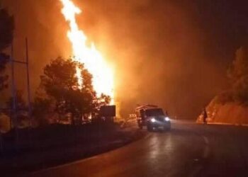 حريق الغابات يهدد آلاف السكان في برج بوعريريج بالجزائر 2025