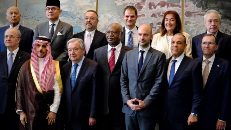 من نيويورك.. مصر تُجدد التزامها بحل الدولتين وترفض تهجير الفلسطينيين 2025