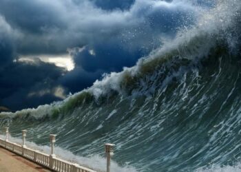 "موجات الذعر: كيف حوّل فيديو تيك توك البحر إلى كابوس مصري!" 2025