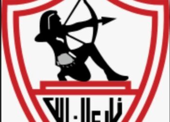 استقالات جماعية …عمرو الجناينى يعلن رحيله عن لجنة تخطيط الزمالك 2025