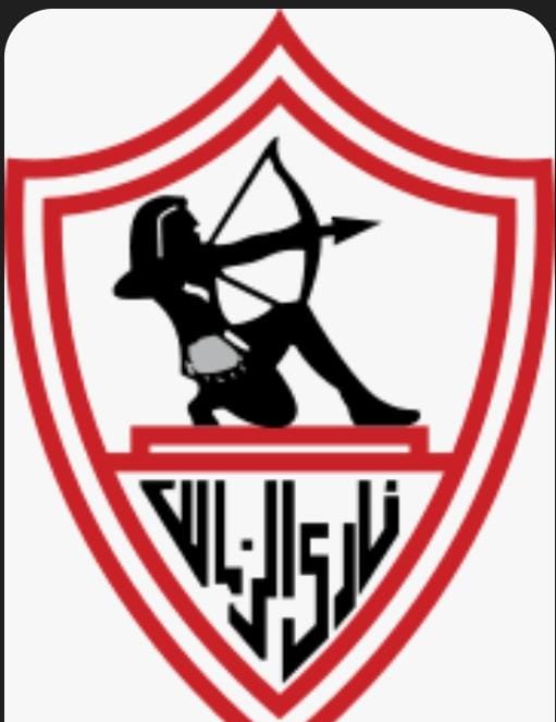 استقالات جماعية …عمرو الجناينى يعلن رحيله عن لجنة تخطيط الزمالك 1 استقالات جماعية …عمرو الجناينى يعلن رحيله عن لجنة تخطيط الزمالك 2025