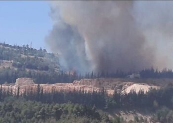 حريق كبير بمحيط قصر الشعب في دمشق "فيديو" 2025