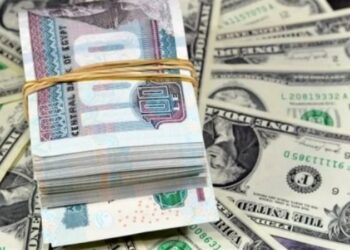 سعر الدولار الأمريكي مقابل الجنيه المصري اليوم الثلاثاء 15 يوليو 2025 2025