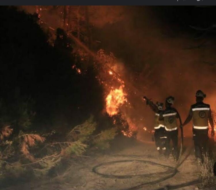 "سرايا أنصار السنة تُحرق سوريا: تفاصيل تبني إشعال الحرائق" فى إدلب 1 "سرايا أنصار السنة تُحرق سوريا: تفاصيل تبني إشعال الحرائق" فى إدلب 2025