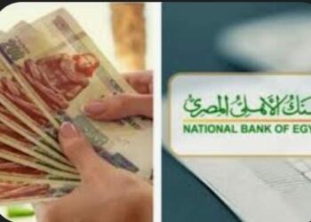 "الشهادة البلاتينية تتفوق على التضخم فى البنك الأهلى المصري: 27% سنويًا رغم خفض الفوائد" 2025