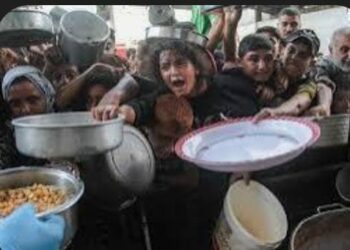 لماذا حذف الازهر الشريف بيانه العاجل الاخير بشأن مجاعة غزة؟...هل جاء بضغط سياسي ؟ 2025