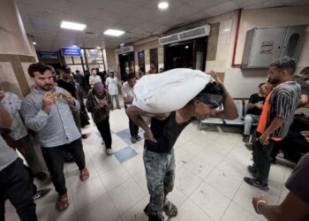 مجزرة الجوع في غزة: مقتل نحو 800 فلسطيني في طوابير الطعام خلال 6 أسابيع 2025