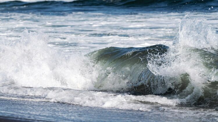 بالفيديو تسونامي كامتشاتكا يصل إلى سواحل كاليفورنيا وهاواي 1 بالفيديو تسونامي كامتشاتكا يصل إلى سواحل كاليفورنيا وهاواي 2025