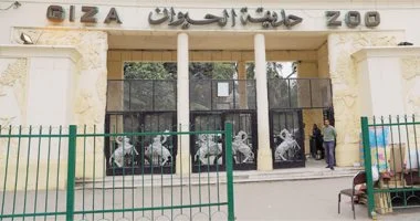 بعد كارثة الموت الجماعى …تزويد حديقة حيوان فى مصر بـ362 حيوانا جديدا من الخارج 1 بعد كارثة الموت الجماعى …تزويد حديقة حيوان فى مصر بـ362 حيوانا جديدا من الخارج 2025