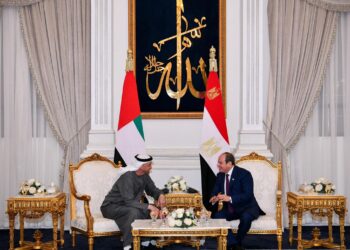 ماذا قال السيسي لدى استقباله محمد بن زايد 2025