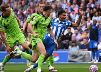 برايتون يتعادل مع فولهام 1-1 في الدوري الإنجليزي 2025