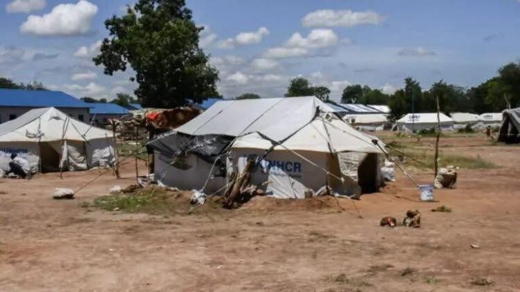 الأمم المتحدة تحذر: أزمة لاجئين كارثية تلوح في جنوب السودان 2026