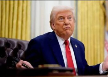 لاول مرة ترامب يصف ما يحدث فى غزة بالكابوس…ويطالب حماس بتسليم سلاحها فورا 2025