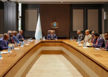 زيارة استخباراتية سودانية رفيعة إلى الصومال 2025