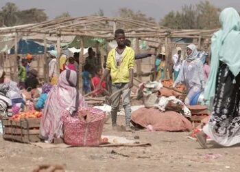 قتلى ونزوح جماعي مع استمرار الاشتباكات على حدود أوروميا والصومال 2025