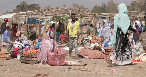 قتلى ونزوح جماعي مع استمرار الاشتباكات على حدود أوروميا والصومال 1 قتلى ونزوح جماعي مع استمرار الاشتباكات على حدود أوروميا والصومال 2025