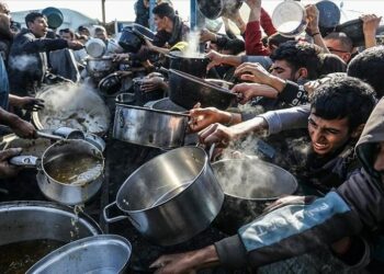 الأمم المتحدة تعلن رسمياً المجاعة في غزة 22 أغسطس 2025 2025