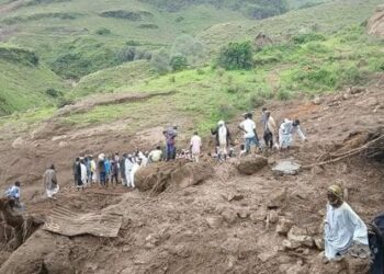 ترسين السودانية: من أرض الحياة إلى صمت لا يُحتمل… الكارثة التي وحدت السودانيين 2025