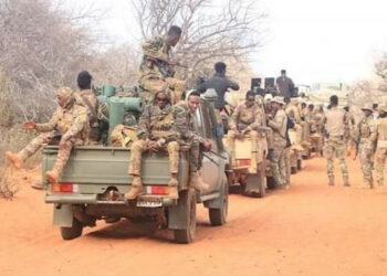 عملية صومالية أمريكية تسفر عن مقتل وإصابة عشرات من حركة الشباب 2025