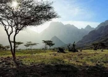 معارك عنيفة بين الجيش السوداني والدعم السريع في جنوب كردفان 2025