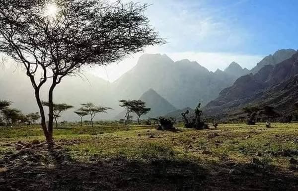 معارك عنيفة بين الجيش السوداني والدعم السريع في جنوب كردفان 1 معارك عنيفة بين الجيش السوداني والدعم السريع في جنوب كردفان 2025