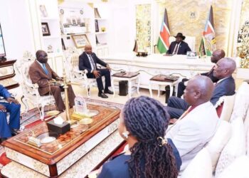 جنوب السودان تتحرّك عبر لجنة الحدود لترسيخ الأمن والتعاون مع دول الجوار 2025