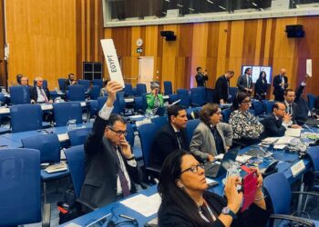 93 دولة تصوت لصالح مشروع لتعزيز الدعم التقني لفلسطين في مجالات الصحة والبيئة 2025