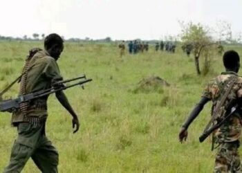 المعارضة المسلحة في جنوب السودان تعلن سيطرتها على حامية عسكرية بولاية غرب الاستوائية 2025