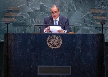 كلمة مصر أمام الأمم المتحدة: لا لتصفية القضية الفلسطينية 2025