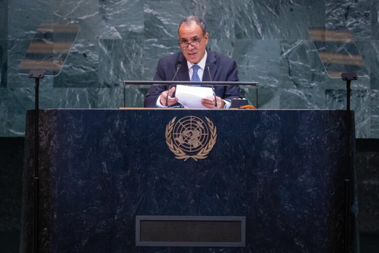 كلمة مصر أمام الأمم المتحدة: لا لتصفية القضية الفلسطينية 2025