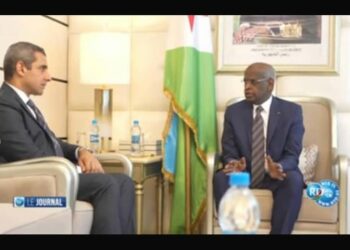 مصر وجيبوتي تؤكدان دعم الاستقرار الإقليمي وتعزيز التنسيق في المحافل الدولية 2025