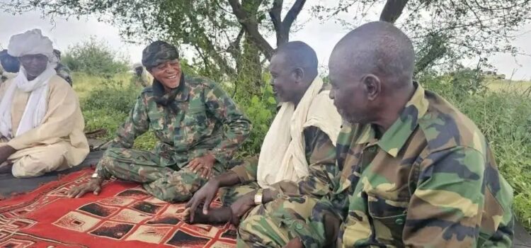 السودان: قوة مشتركة من الحركات والمجلس الثوري لمواجهة الدعم السريع في دارفور 2026