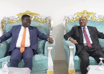 غرفة تنسيق مشتركة لضبط الحدود وتعزيز الأمن بين السودان وجنوب السودان 2025