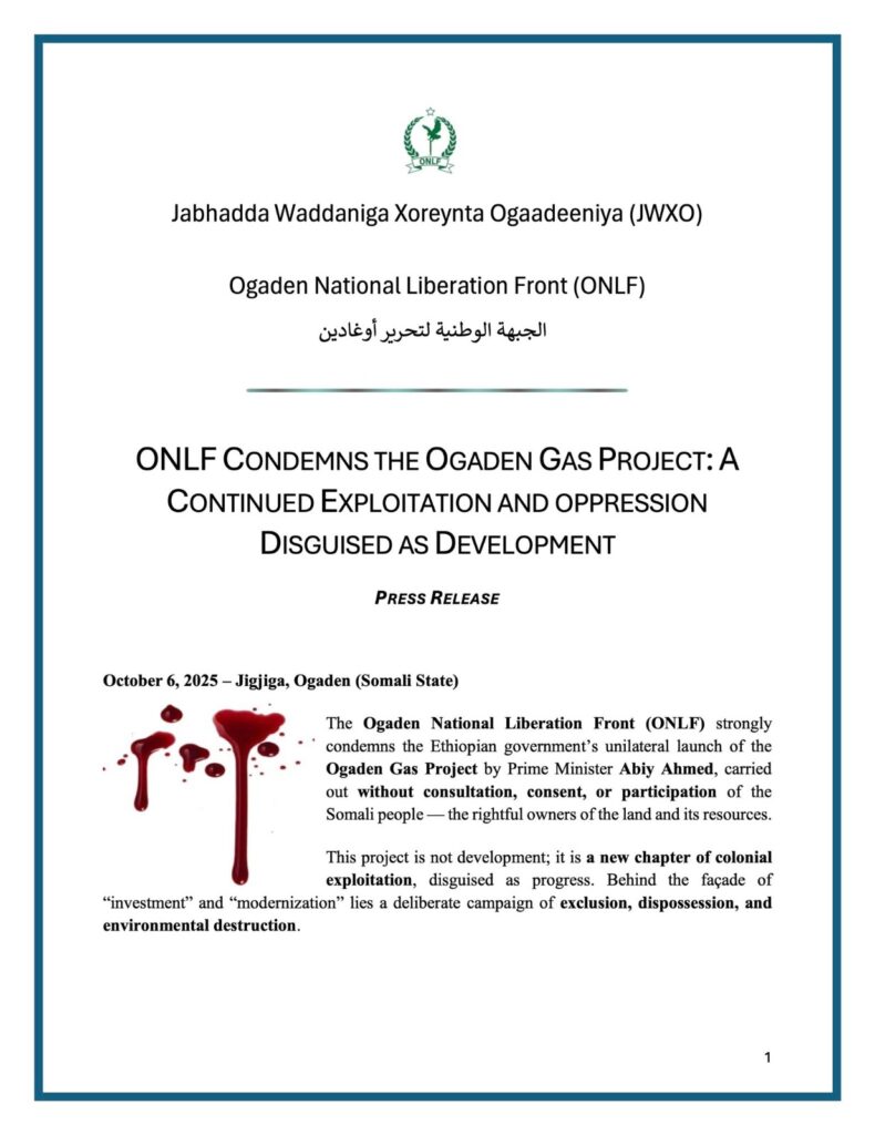 "النفط خط أحمر": جبهة أوجادين تهدد بالعودة للعمل المسلح رداً على إطلاق آبي أحمد مشروع الغاز شرق إثيوبيا 2 "النفط خط أحمر": جبهة أوجادين تهدد بالعودة للعمل المسلح رداً على إطلاق آبي أحمد مشروع الغاز شرق إثيوبيا 2025