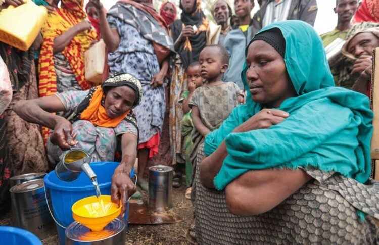 آبي أحمد تحت المجهر: 288 ألف نازح في صحراء إثيوبيا مع اشتعال صراع بين أوروميا الصومال 1 آبي أحمد تحت المجهر: 288 ألف نازح في صحراء إثيوبيا مع اشتعال صراع بين أوروميا الصومال 2025