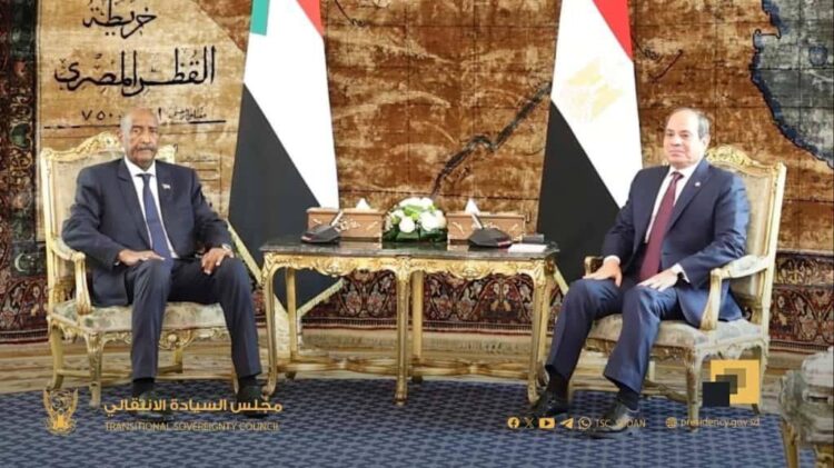 السيسي والبرهان يبحثان وقف الحرب في السودان وتنسيق المواقف بشأن سد النهضة "فيديو" 2025
