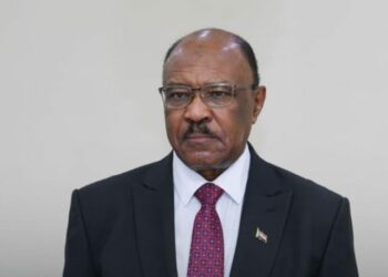 الخرطوم ترفض المساواة مع الدعم السريع: السودان ينتقد بيان الاتحاد الأوروبي ويدعو لاحترام سيادته 2025